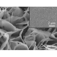 水热法(Hydrothermal)制备四氧化三钴(Co3O4)纳米片阵列