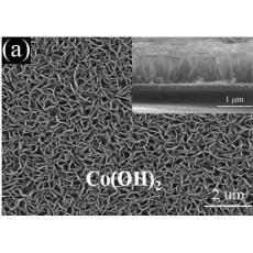 电沉积法(Electrodeposition)制备多孔氢氧化镍(Co(OH)2)、四氧化三钴(Co3O4)纳米片阵列