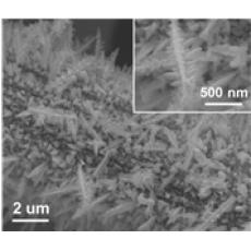 电沉积法(Electrodeposition)制备单质铋(Bi)纳米结构