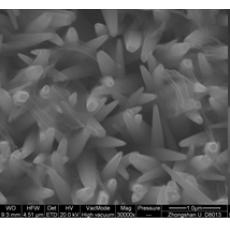 电沉积法(Electrodeposition)制备氧化锌(ZnO)纳米棒/线阵列