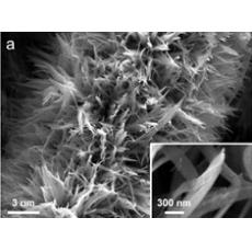 水热法(Hydrothermal)制备氮氧化钼(MoON)、三氧化钼(MoO3)、氧化钼(MoO3-x)等纳米线阵列