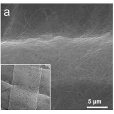 水热法(Hydrothermal)加后续处理制备多孔氮化钒纳米线(VN nanowires)、多孔五氧化二钒纳米线(V2O5 nanowires)