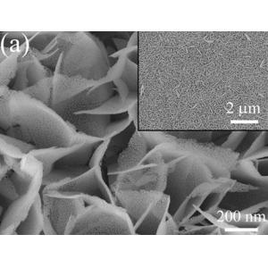 水热法(Hydrothermal)制备四氧化三钴(Co3O4)纳米片阵列