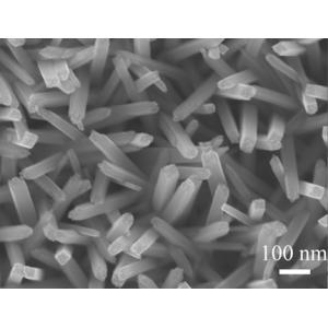 水热法(Hydrothermal)制备二氧化钛(TiO2)纳米杆阵列