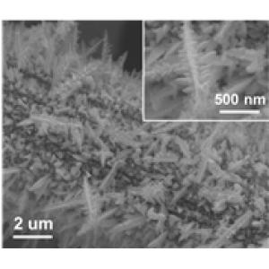 电沉积法(Electrodeposition)制备单质铋(Bi)纳米结构