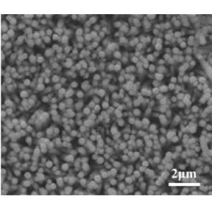 电沉积法(Electrodeposition)制备氧化锌/二氧化铈(ZnO/CeO2)复合纳米树阵列