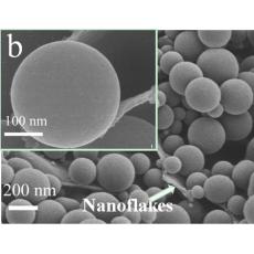 泡沫镍负载纳米碳球-纳米碳片复合薄膜