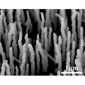 氮化镓GaN纳米线阵列