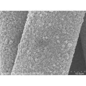 碳布负载硫化钼纳米片阵列