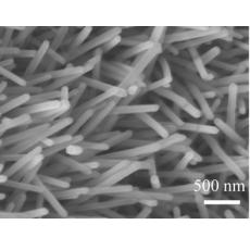 碳布负载氧化锌纳米杆阵列