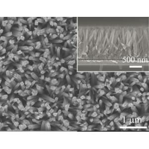 导电FTO玻璃负载二氧化钛纳米杆阵列