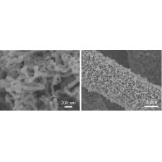 碳布负载碳纳米管/氮化钛阵列