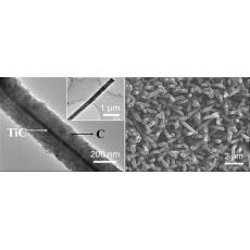碳化钛/碳核壳阵列