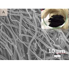 纳米多孔碳纤维