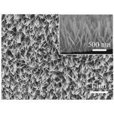 不同基底负载氮掺杂氧化锌纳米杆阵列