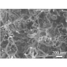 碳纳米管(粉体)