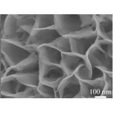  不同基底负载多孔氢氧化镍纳米片阵列