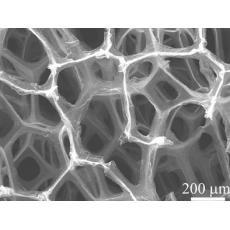 泡沫镍负载石墨烯