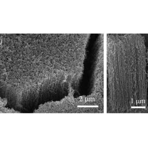 不同基底负载垂直碳纳米管阵列 停产