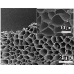 微孔交联碳管