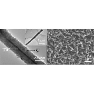 碳化钛/碳核壳阵列