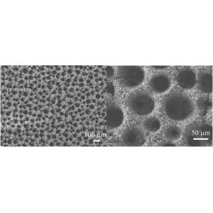 铜箔负载三维多孔自支撑铜-氧化铜复合膜