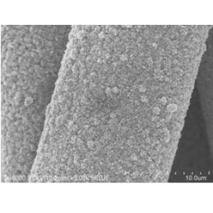 碳布负载碳纳米管/硫化钼薄膜