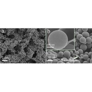 泡沫镍负载纳米碳球-碳片复合薄膜