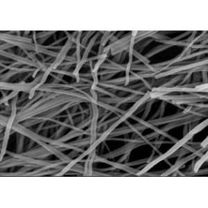 钛网负载钛酸钠纳米纤维薄膜