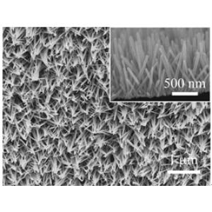 不同基底负载氮掺杂氧化锌纳米杆阵列