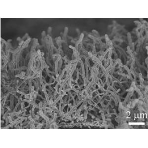 泡沫铜负载氮掺杂氧化铜纳米线阵列