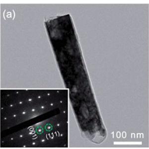 碳布负载氮掺杂无定形碳包二氧化钛（C@TiO2）纳米棒阵列