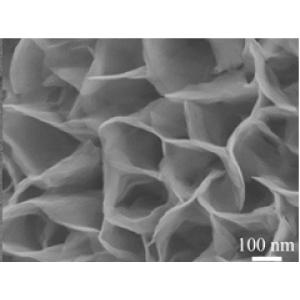 不同基底负载多孔氢氧化镍纳米片阵列