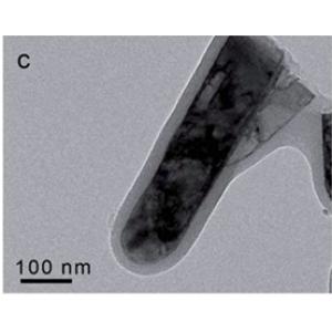碳布负载聚苯胺包二氧化钛（PANI@TiO2）纳米棒阵列