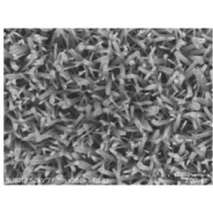 碳布/氮化钛纳米杆阵列