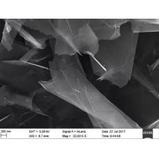高导电石墨烯 HCG